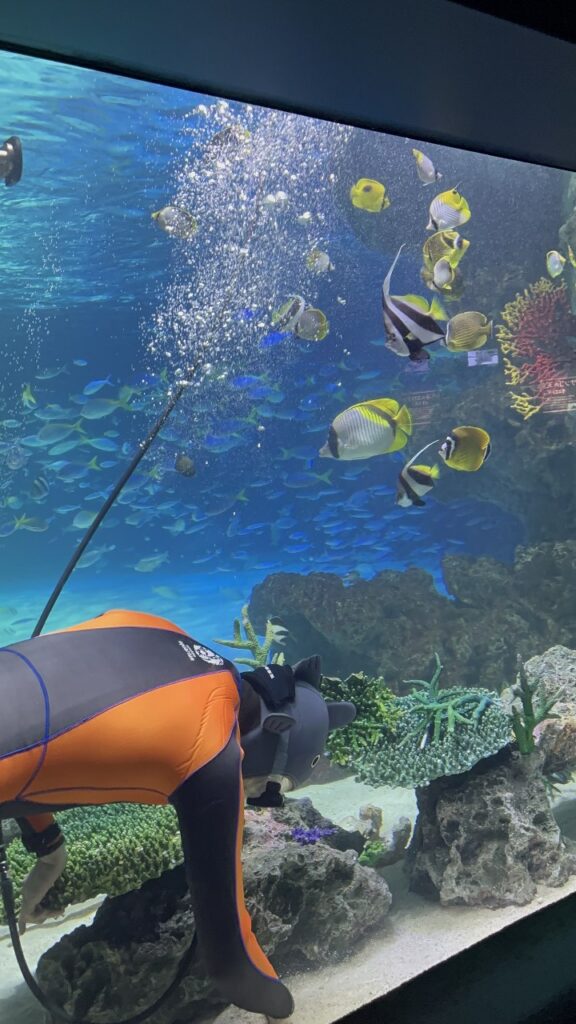 Sunshine Aquarium พิพิธภัณฑ์สัตว์น้ำบนดาดฟ้า
