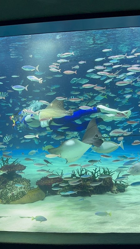 Sunshine Aquarium พิพิธภัณฑ์สัตว์น้ำบนดาดฟ้า