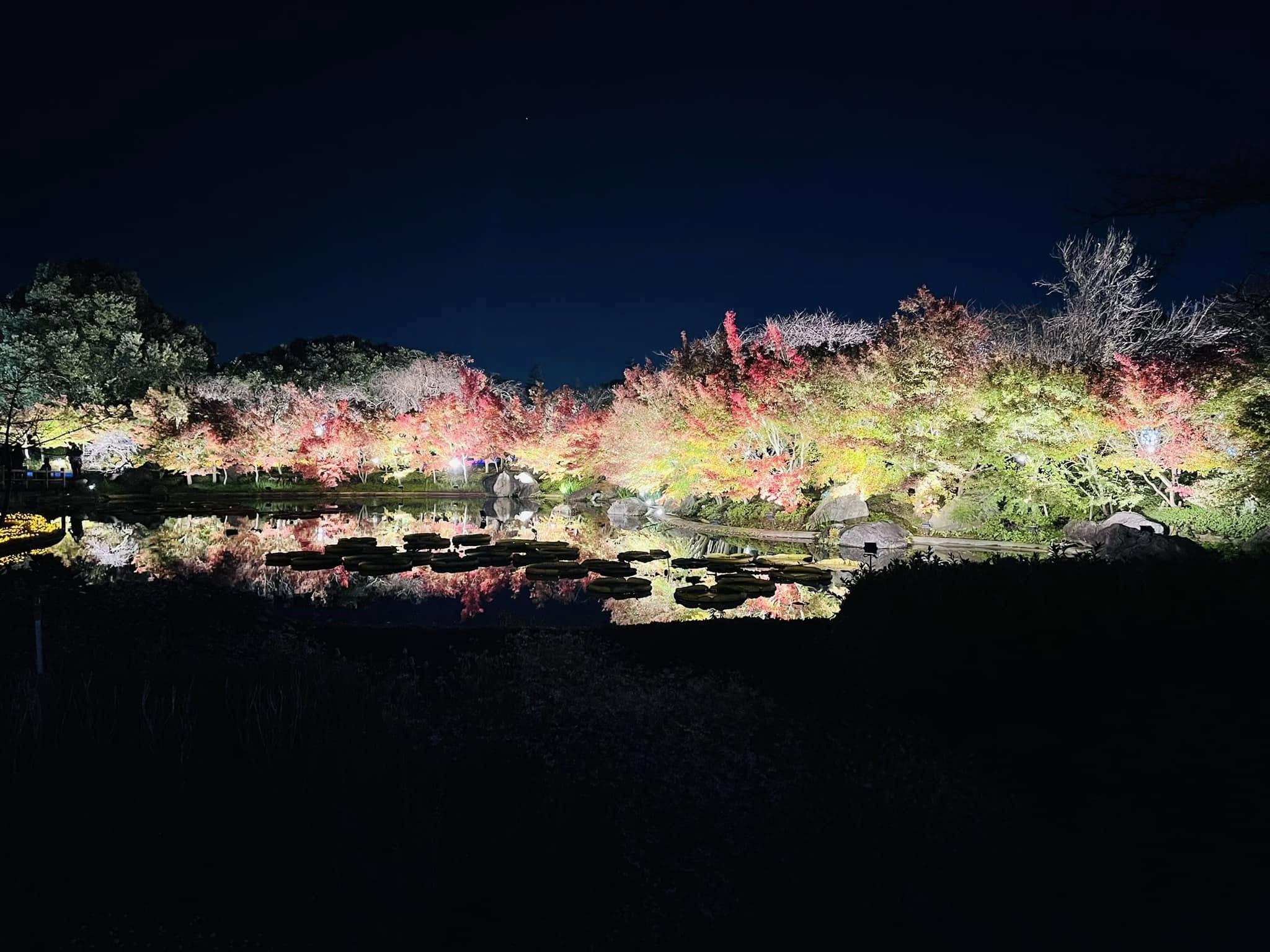 รีวิว Nabana no Sato เที่ยวสวนดอกไม้ ชมงานไฟอลังการ "ภูเขาไฟฟูจิ" | ตั๋วเท่าไหร่? เดินทางยังไง?