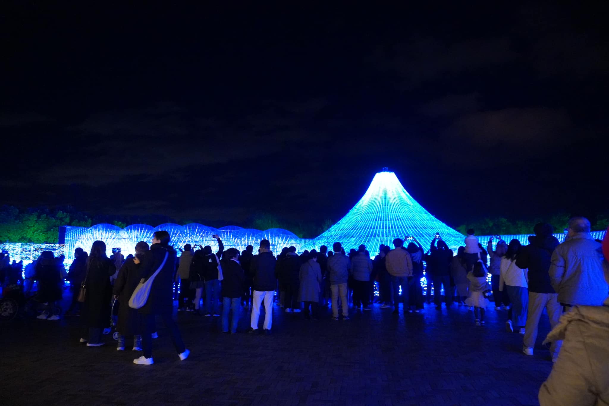 รีวิว Nabana no Sato เที่ยวสวนดอกไม้ ชมงานไฟอลังการ "ภูเขาไฟฟูจิ" | ตั๋วเท่าไหร่? เดินทางยังไง?