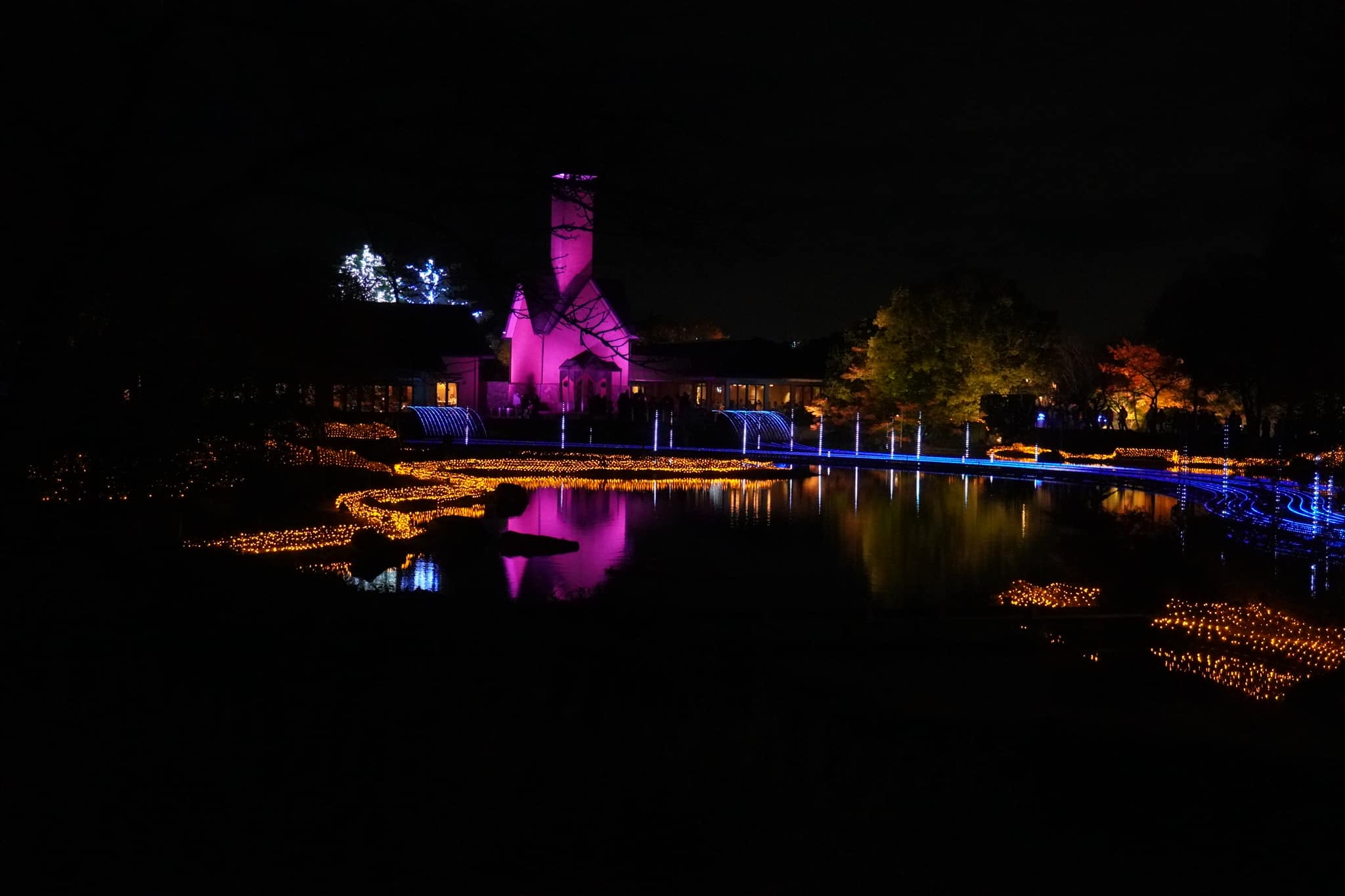 รีวิว Nabana no Sato เที่ยวสวนดอกไม้ ชมงานไฟอลังการ "ภูเขาไฟฟูจิ" | ตั๋วเท่าไหร่? เดินทางยังไง?