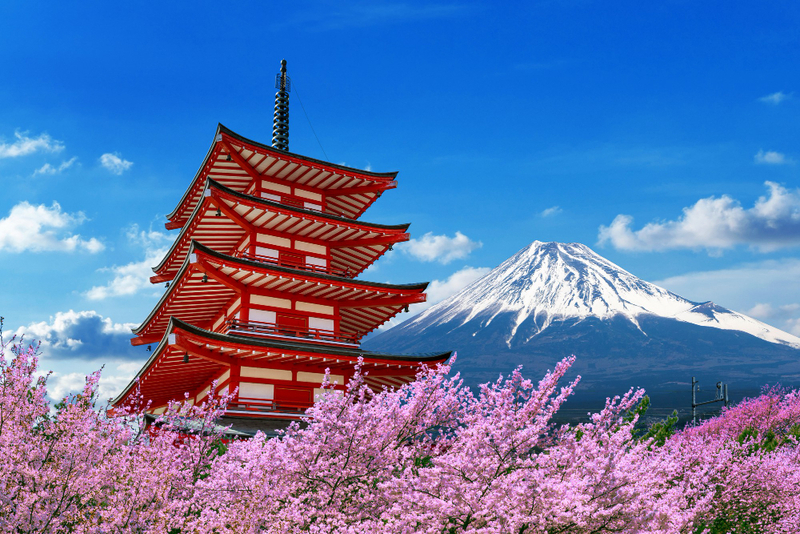 แจกพิกัด! 50 จุดชมวิวภูเขาไฟฟูจิ (Mt. Fuji) เช็กพิกัดถ่ายรูปฟูจิ พร้อมข้อมูลที่จอดรถ