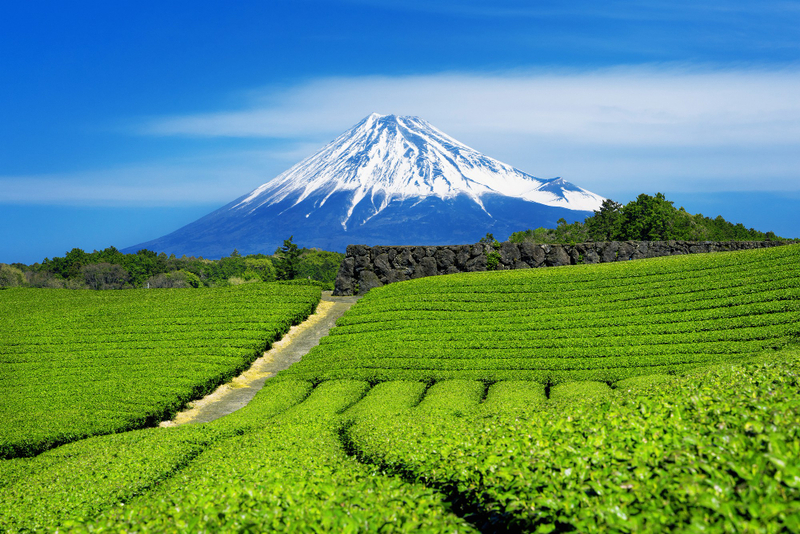 แจกพิกัด! 50 จุดชมวิวภูเขาไฟฟูจิ (Mt. Fuji) เช็กพิกัดถ่ายรูปฟูจิ พร้อมข้อมูลที่จอดรถ