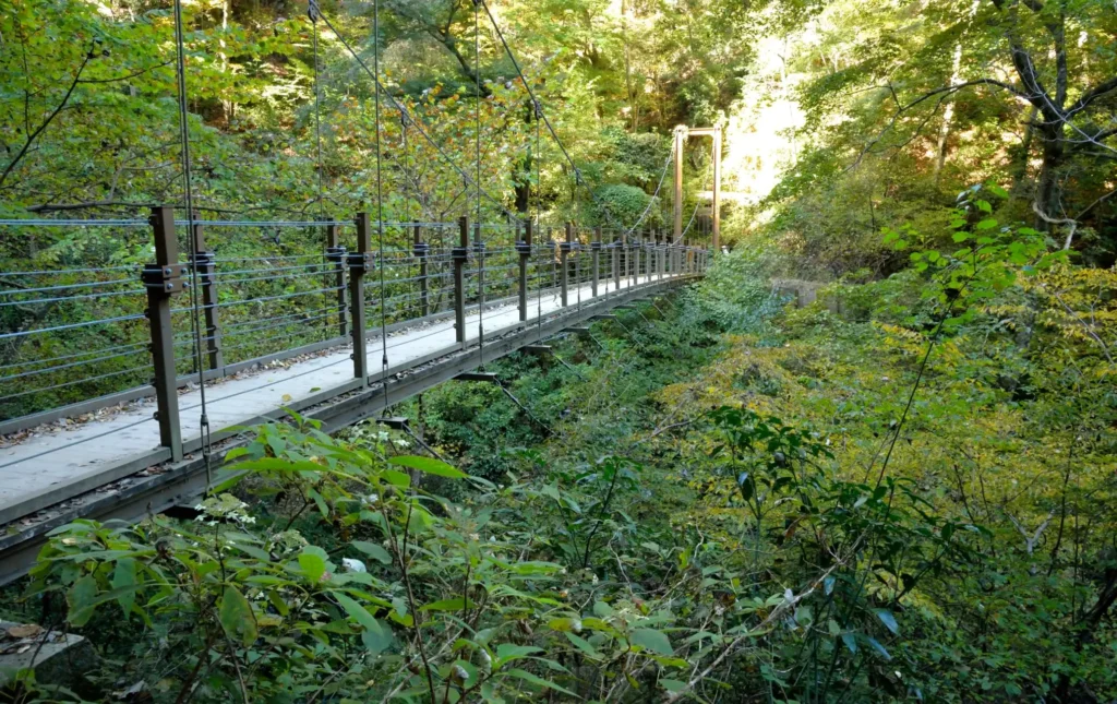 ภูเขาทาคาโอะ (Mount Takao)