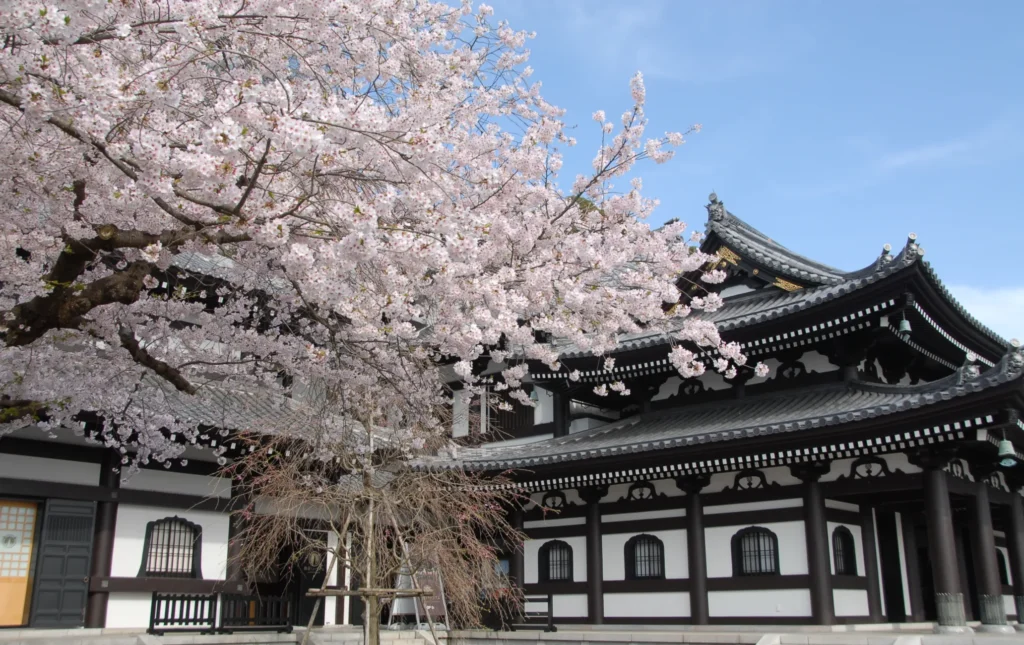 วัดฮาเซเดระ (Hasedera)